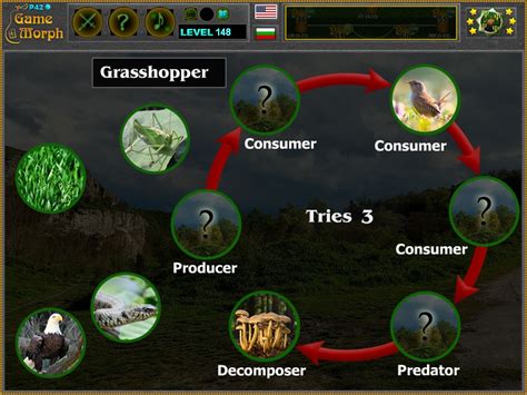 biology games|Food Chain Puzzle Online .